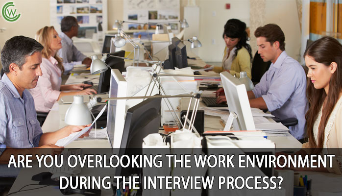 Work Environment During the Interview Process?