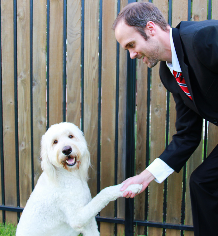 4 Networking Tips That You Can Learn From a Dog