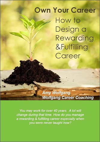 own-your-career-how-to-design-rewarding-fulfilling-careers