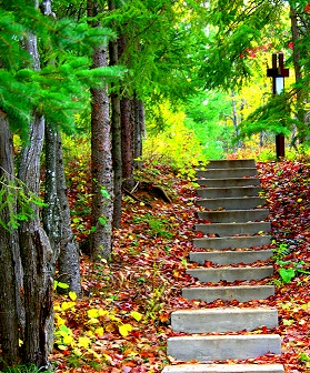 career development plan using four stages of competence