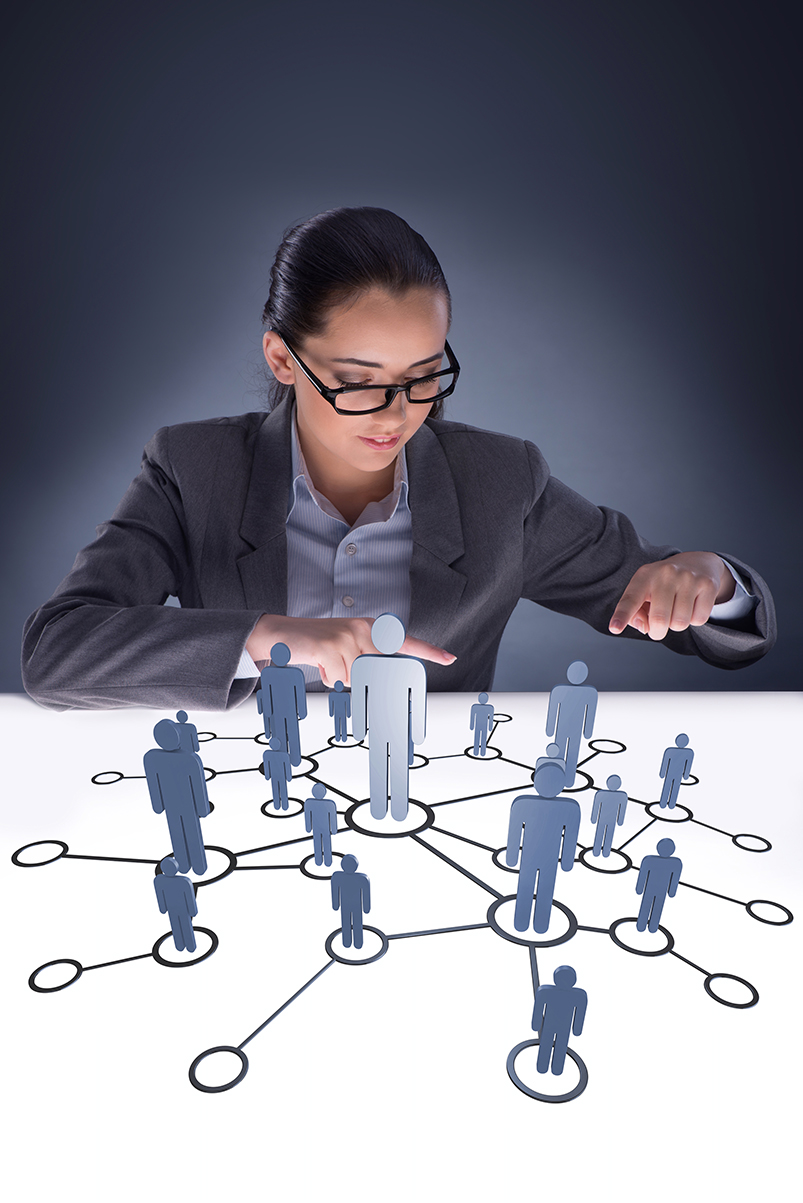 linkedin and online networks, Live – Individual Coaching – LinkedIn/Online Networks